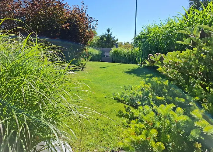 Martinus Apartments